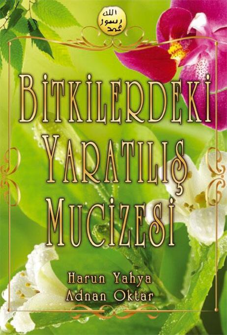 Bitkilerdeki Yaratılış Mucizesi